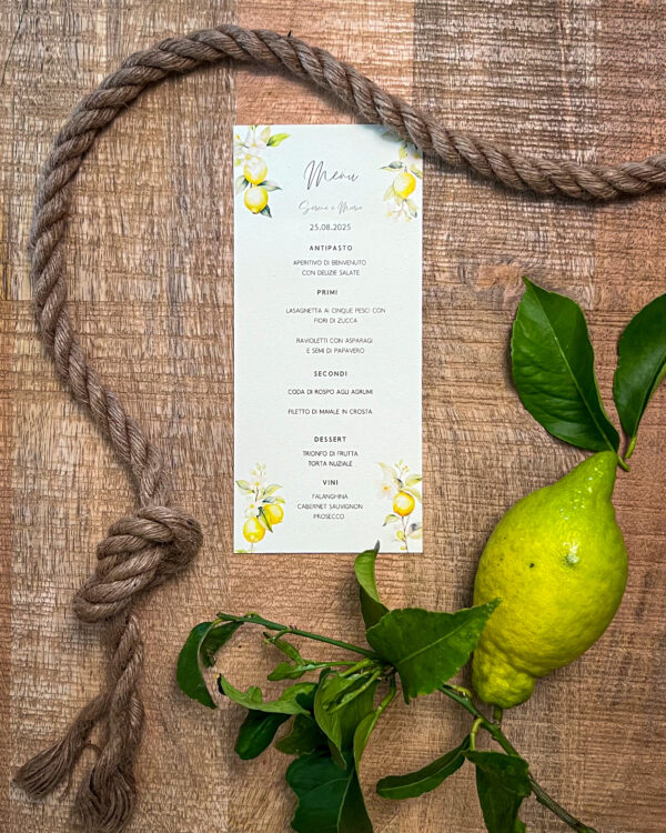 Menù Limone - immagine 2