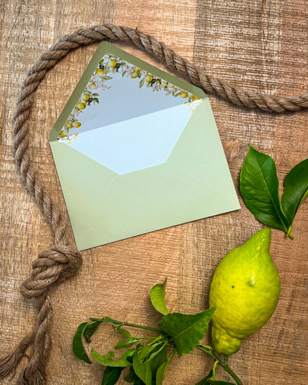 Partecipazione Limone - immagine 4