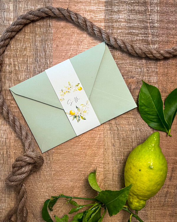 Partecipazione Limone - immagine 5